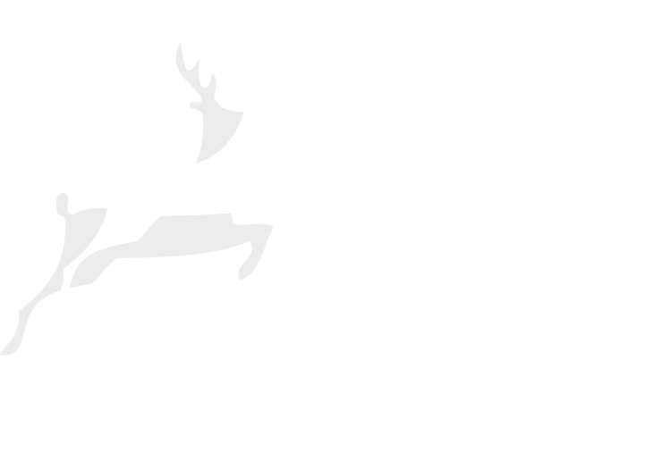 Deer Park School Logo